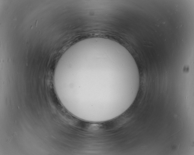 X0000112140222200908070947