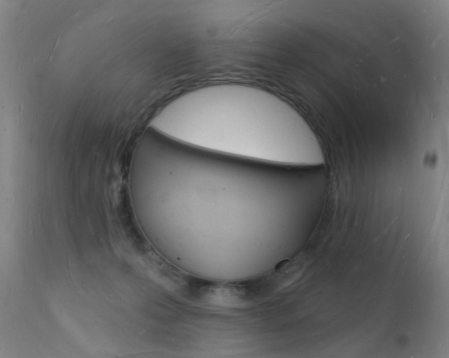 X0000112140223200908070947