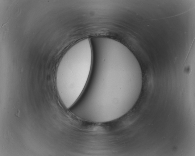 X0000112140224200908070947