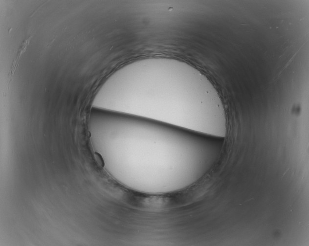 X0000112140225200908070947