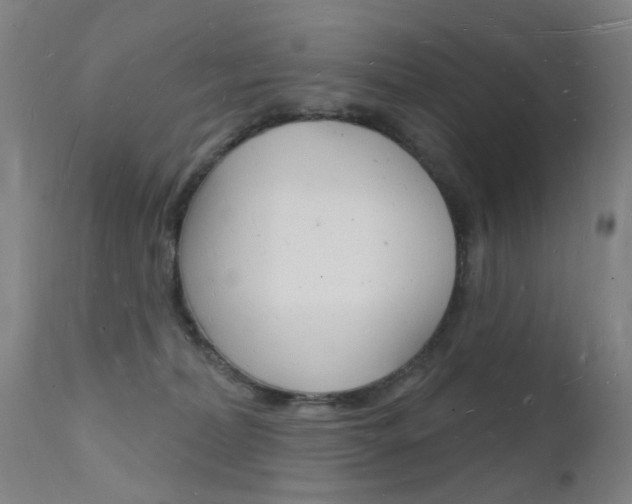 X0000112140228200908070947