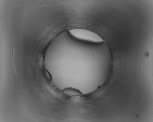 X0000112140231200908070947