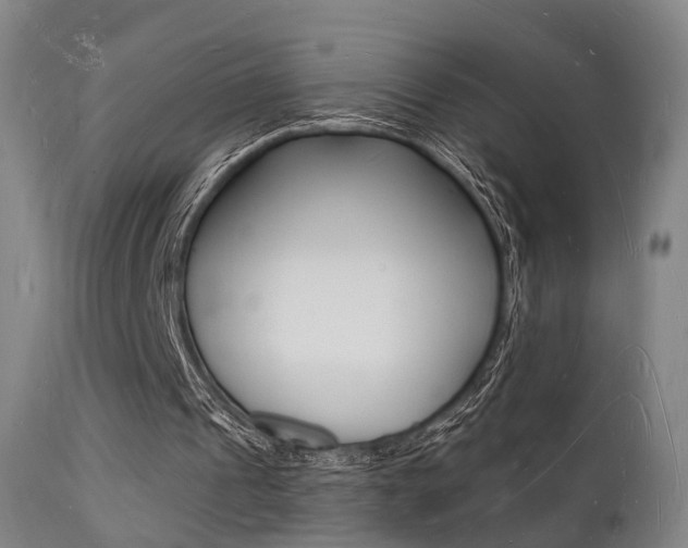 X0000112140241200908070946