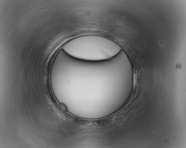 X0000112140243200908070946