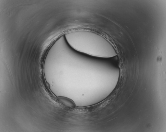 X0000112140245200908070946