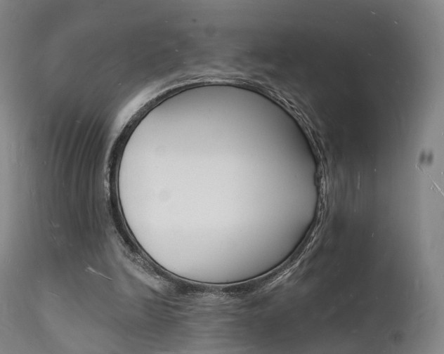 X0000112140246200908070946