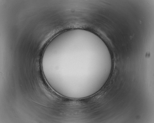 X0000112140250200908070946