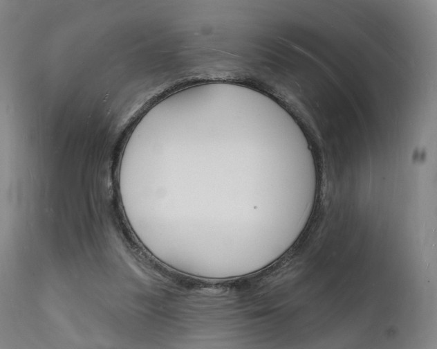 X0000112140251200908070946