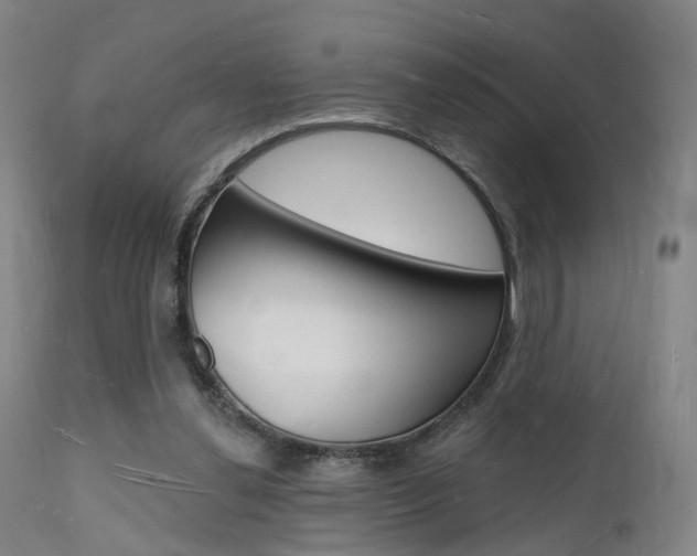 X0000112140252200908070946