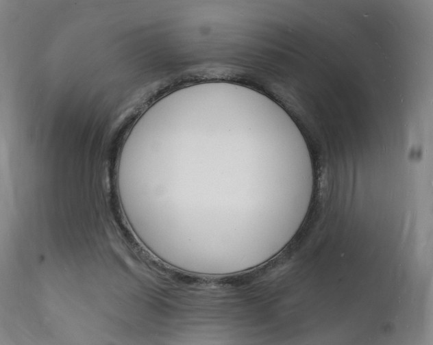 X0000112140254200908070946