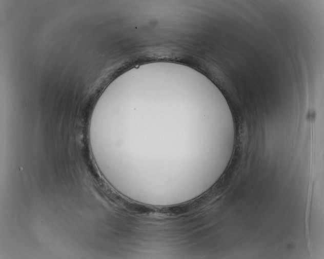 X0000112140255200908070946
