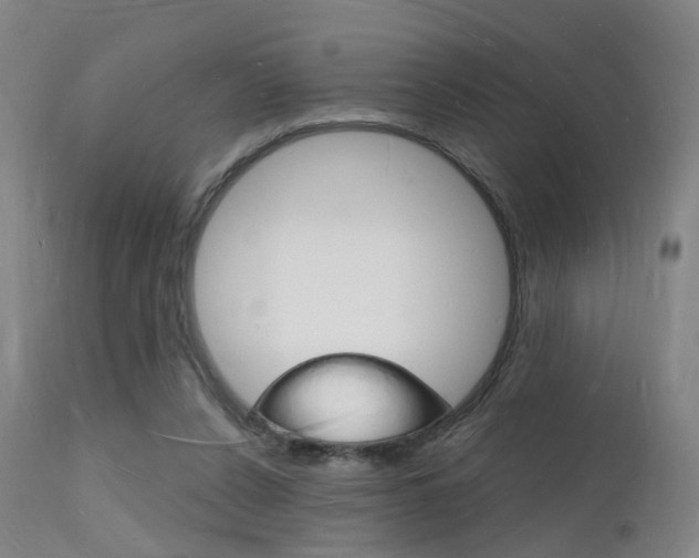 X0000112140256200908070946