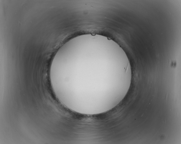 X0000112140259200908070946