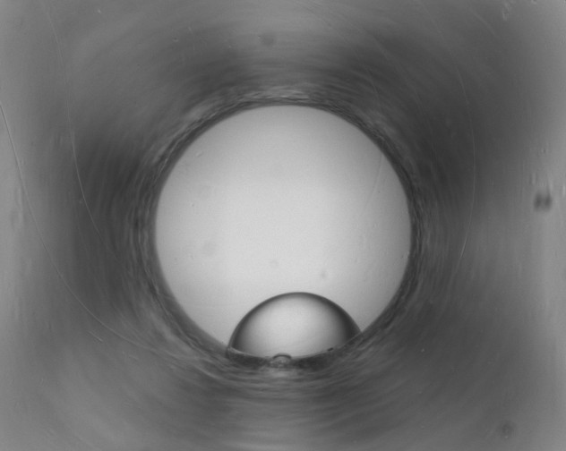 X0000112140260200908070946