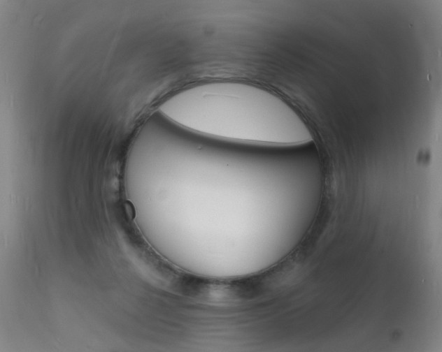 X0000112140264200908070946