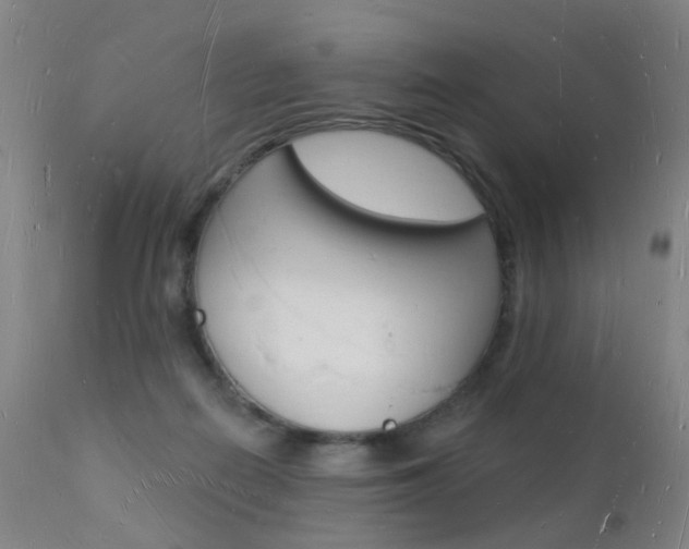 X0000112140266200908070946