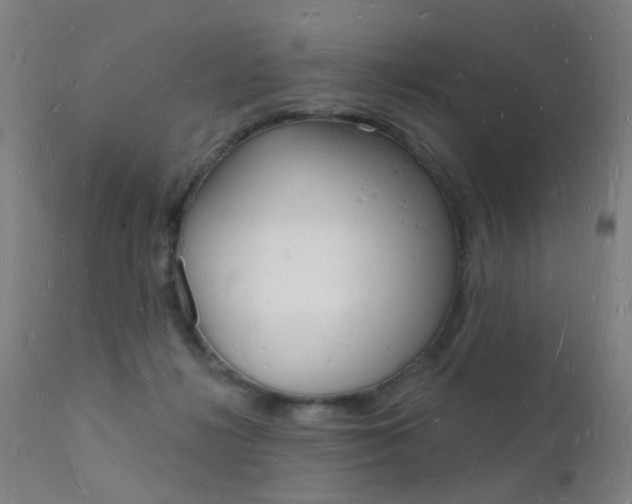 X0000112140268200908070946