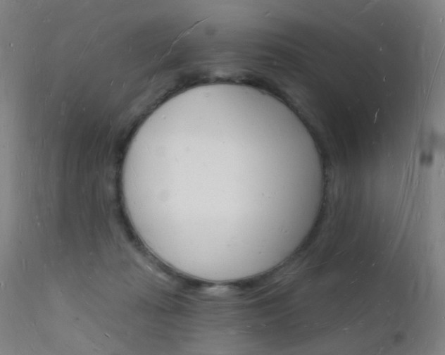 X0000112140269200908070946