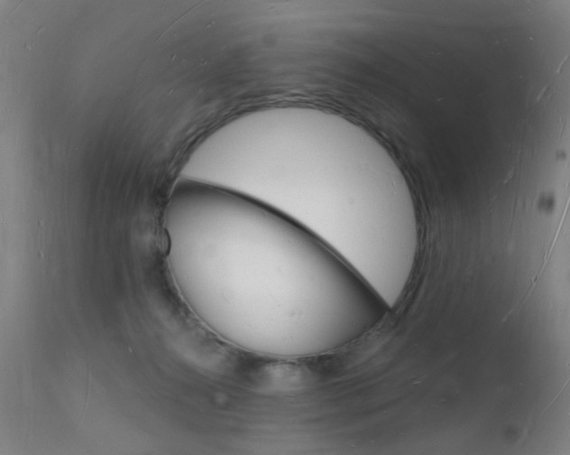 X0000112140272200908070946