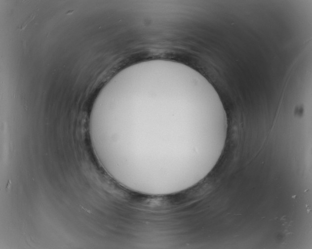 X0000112140275200908070946