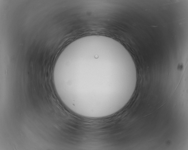 X0000112140276200908070946