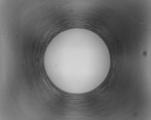 X0000112140280200908070946