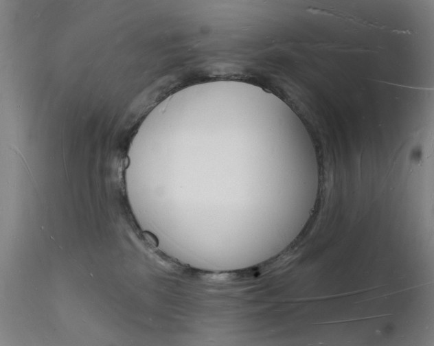 X0000112140281200908070946