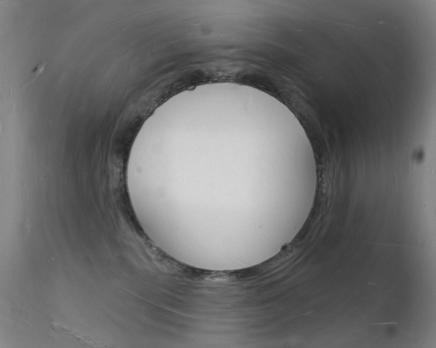 X0000112140283200908070946