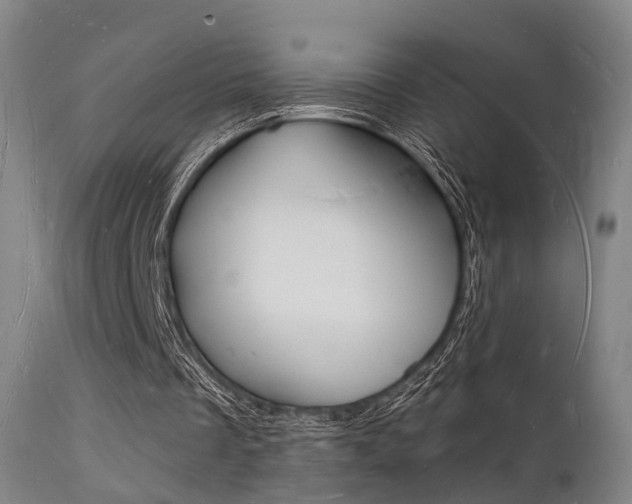 X0000112140289200908070946