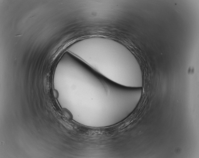 X0000112140291200908070946