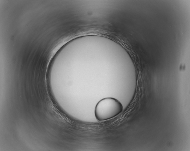 X0000112140292200908070946