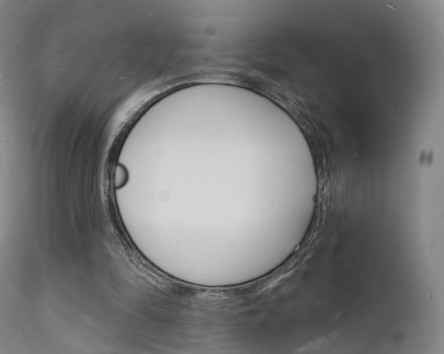 X0000112140294200908070946
