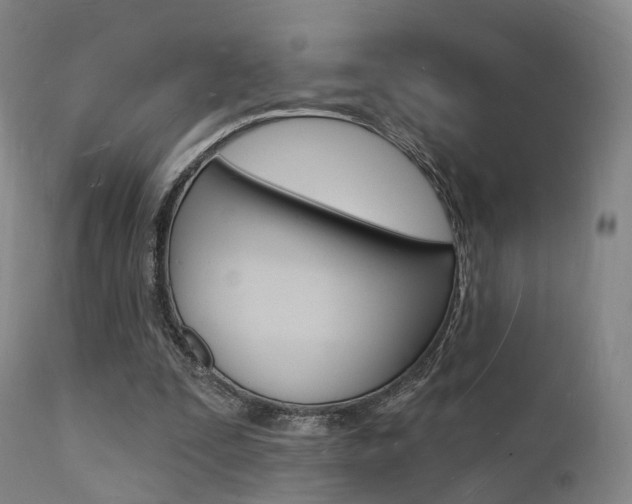 X0000112140295200908070946