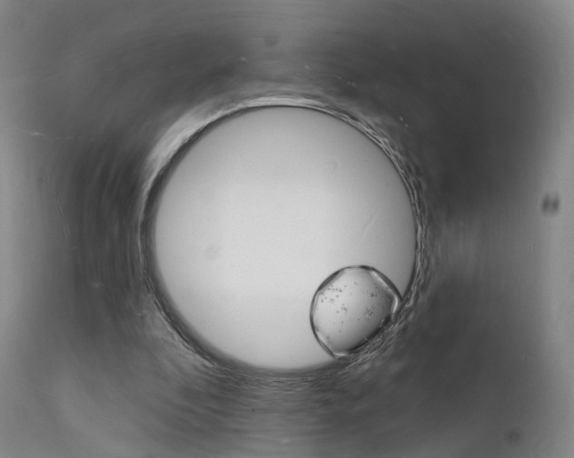 X0000112140296200908070946