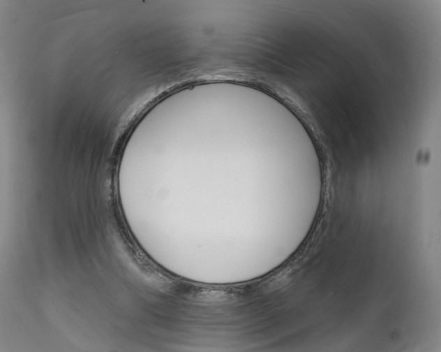 X0000112140298200908070946