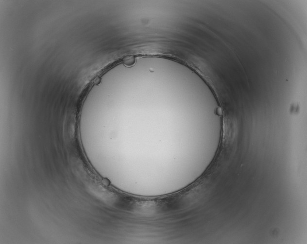 X0000112140301200908070946
