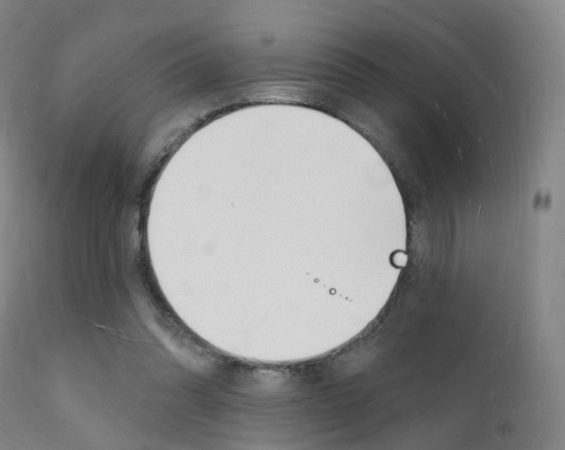 X0000112140302200908070946