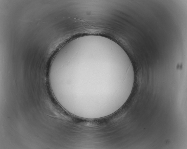 X0000112140303200908070945