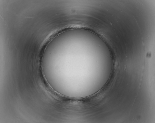 X0000112140304200908070945