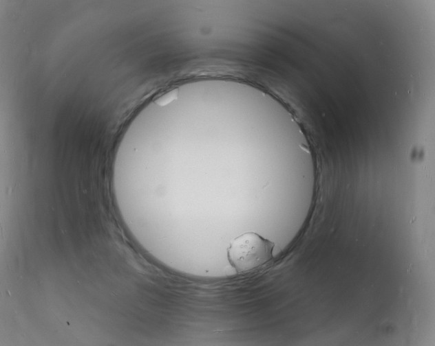 X0000112140309200908070945