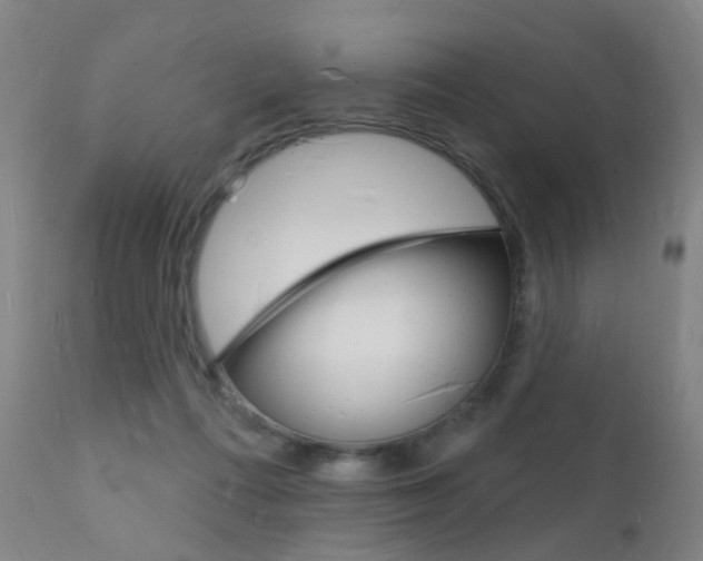 X0000112140312200908070945
