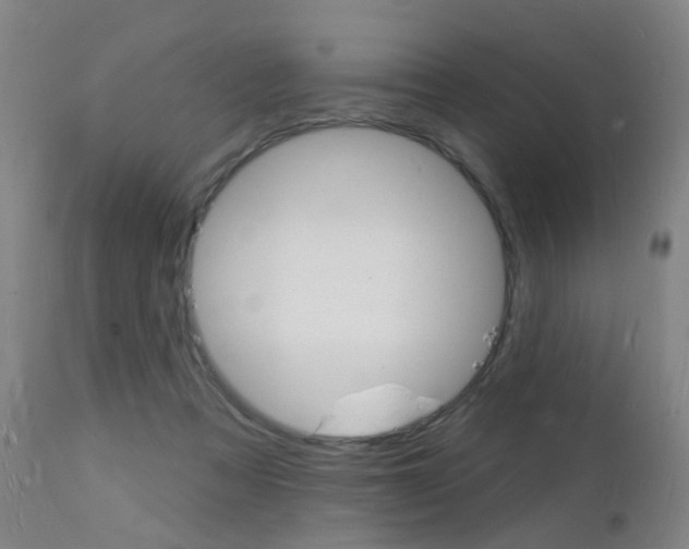 X0000112140313200908070945