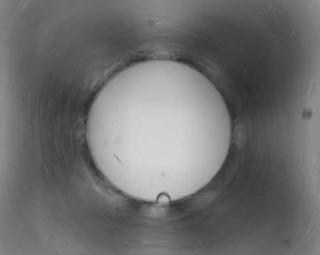 X0000112140318200908070945