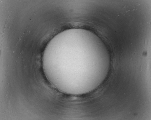 X0000112140319200908070945