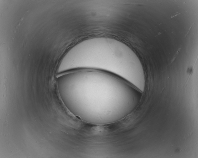 X0000112140320200908070945