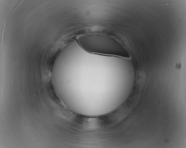 X0000112140324200908070945