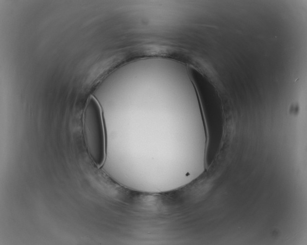 X0000112140325200908070945