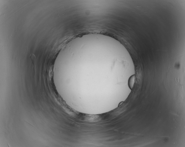 X0000112140334200908070945