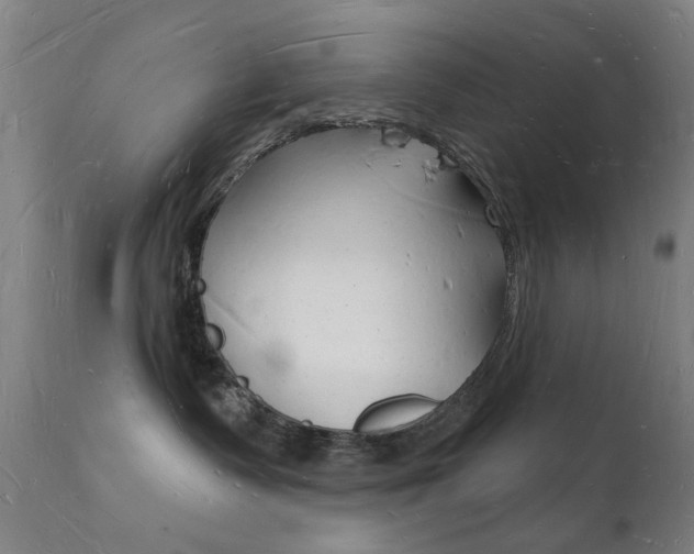 X0000112140335200908070945