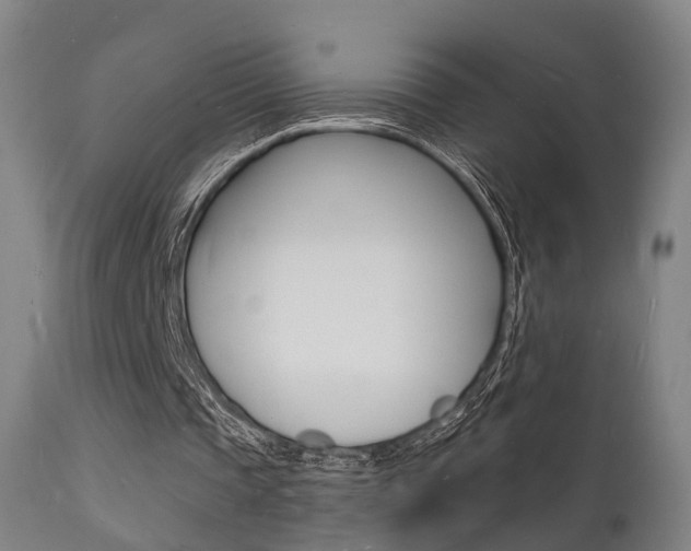X0000112140337200908070944